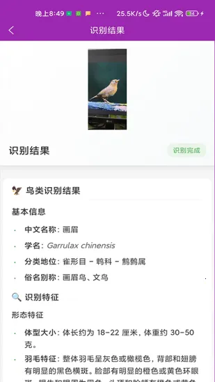 ʶ��(����ʶ�𹤾�)v1.1.0 �ֻ����ͼ3