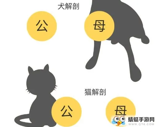 3dbody������������