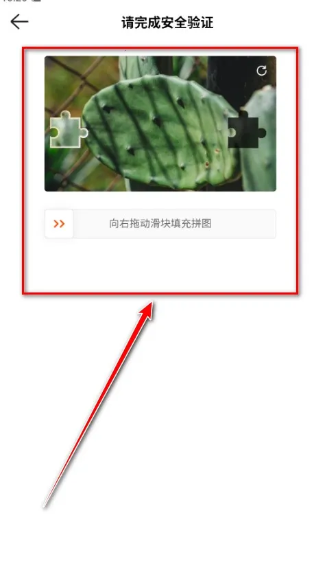 kwai���İ���ֹ������İ�