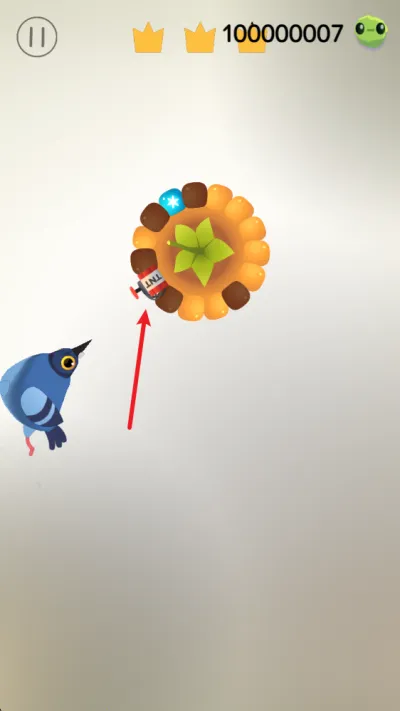 pigeon疯狂的鸽子 pigeon疯狂的鸽子