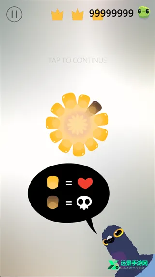 pigeon疯狂的鸽子 pigeon疯狂的鸽子