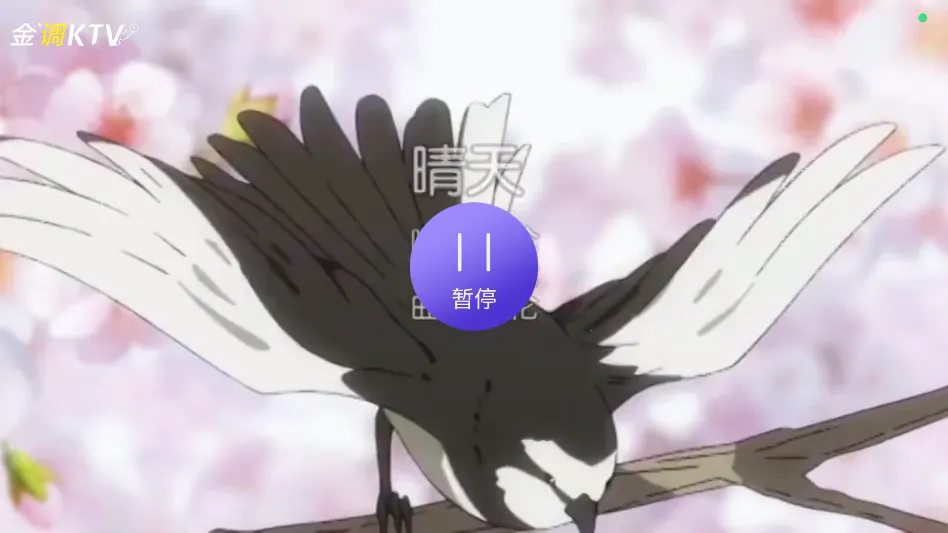 ���KTV���ϵͳ