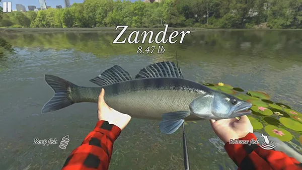 终极钓鱼模拟器(钓鱼模拟游戏)v3.71 手机版截图4