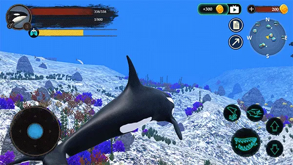 ����ģ����2026�ٷ����°汾