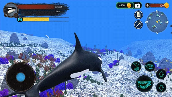 ����ģ����2026�ٷ����°汾