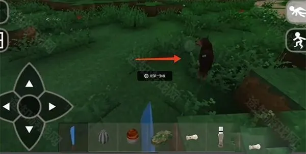 生存战争野人岛最终版 生存战争野人岛最终版