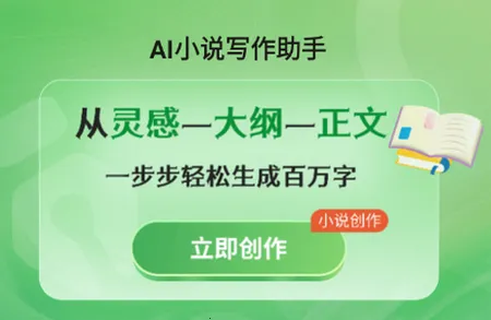 AIС˵д������(С˵��������)