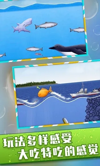 美味海洋鲨鱼版下载安装 美味海洋鲨鱼版下载安装