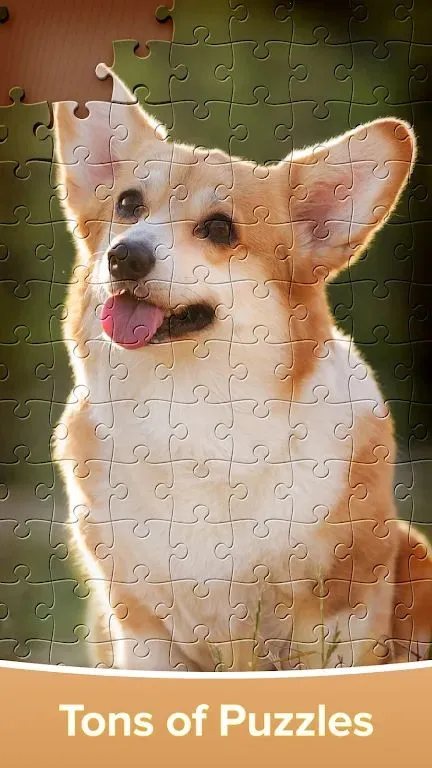 拼图游戏大闯关(成人拼图游戏)v4.4.16 手机版截图1