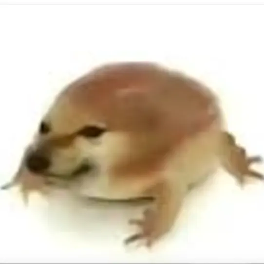 �ҵĵ���2026���°汾v1.0 �ֻ����ͼ0