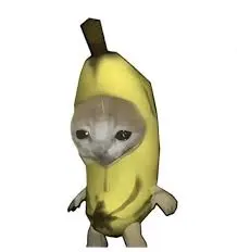 比比拉布(比比拉布平台)v1.0 安卓版截图1