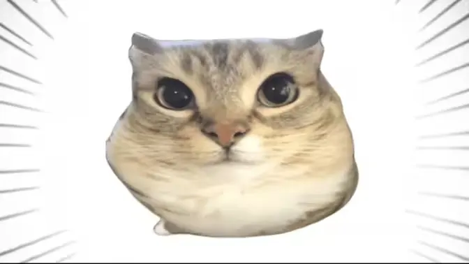 �ͰͲ�һ(�ͰͲ�һƽ̨)v1.0 �ֻ����ͼ0