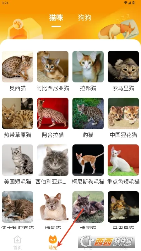 Ԫ����ֽ��̬��ֽv2.0.5 ��׿���ͼ2