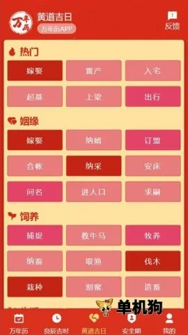 199������2026���°汾