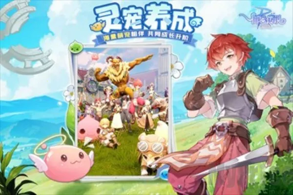 仙境传说ro破晓(ro手游特色玩法) 仙境传说ro破晓(ro手游特色玩法)