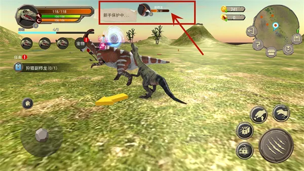 ��������Ұ�������°�׿��