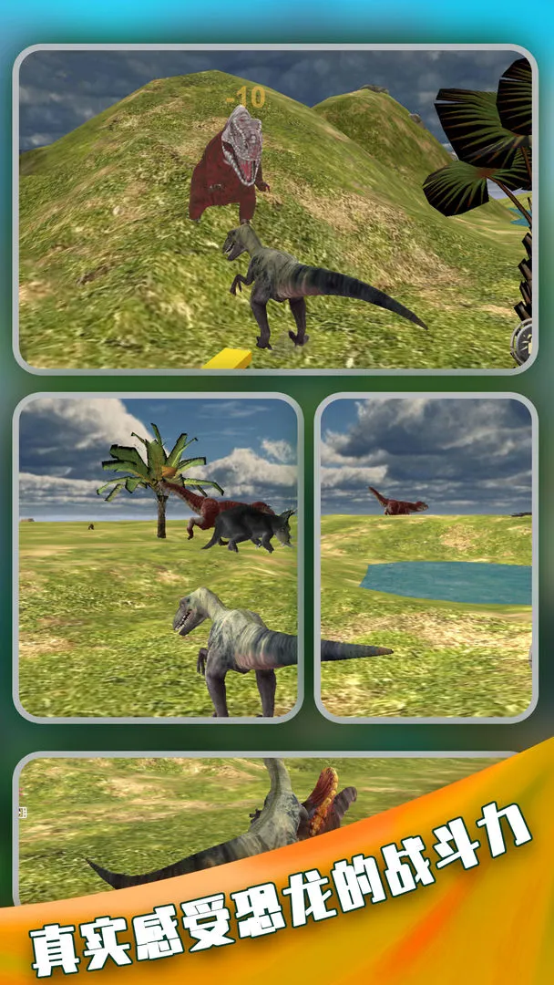 ��������Ұ�������°�׿��