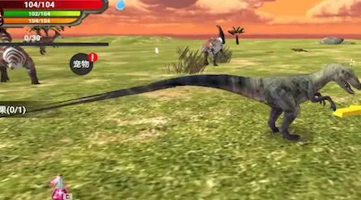 ��������Ұ�������°�׿��