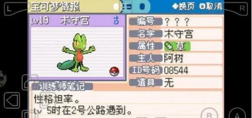 �ڴ������εĹ��2026�ֻ���