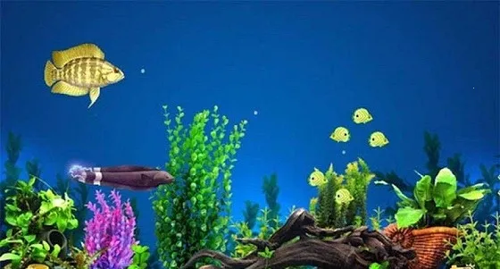 3d�����С��2026����v1.0.41 �ֻ����ͼ3