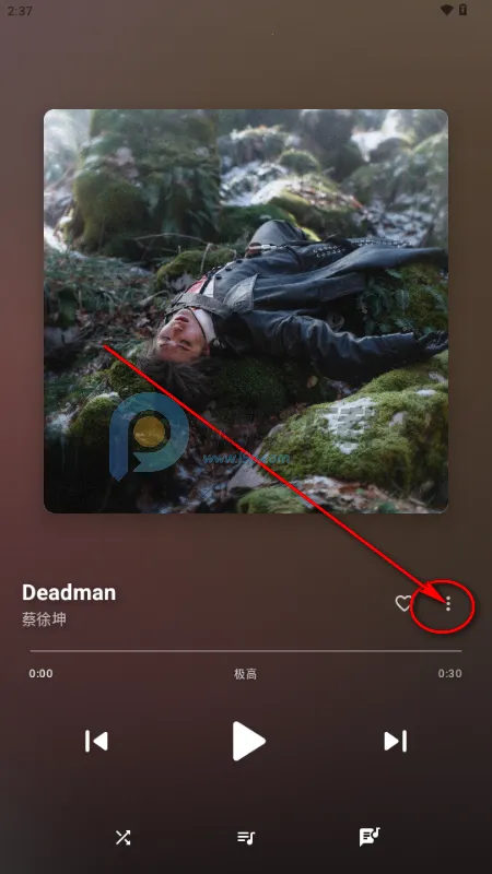 ÷������(���ֲ��Ź���)