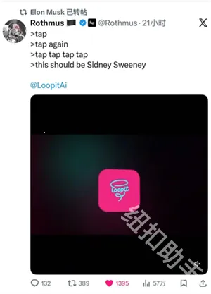 Loopit2026����