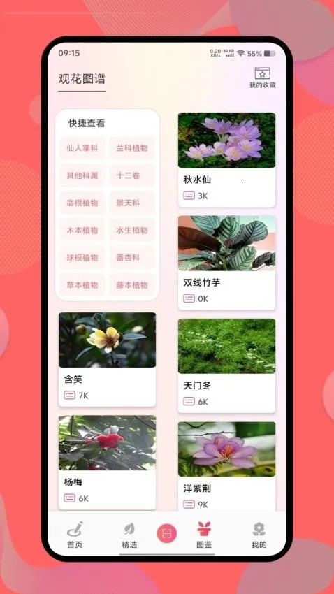 ������2026����