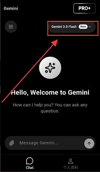 GeminiPro���°�׿��