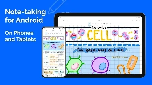 Notewise2026����