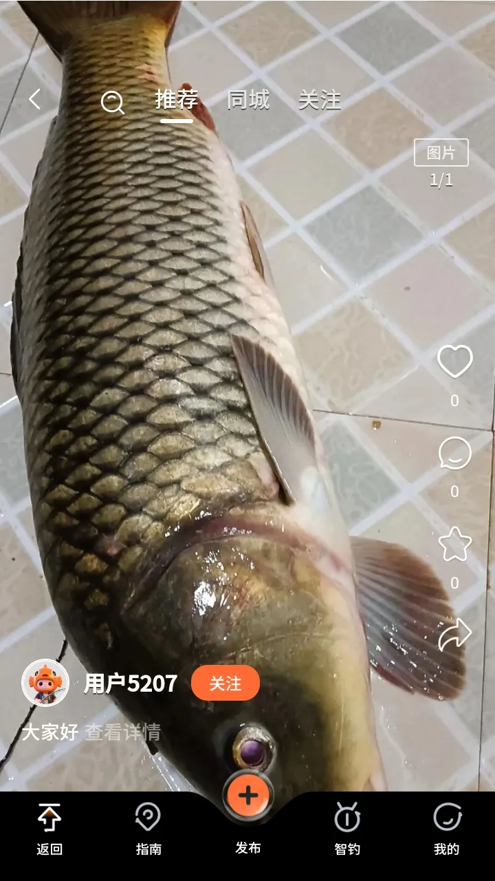 С�����������2026���°汾v1.0.11 �ֻ����ͼ2