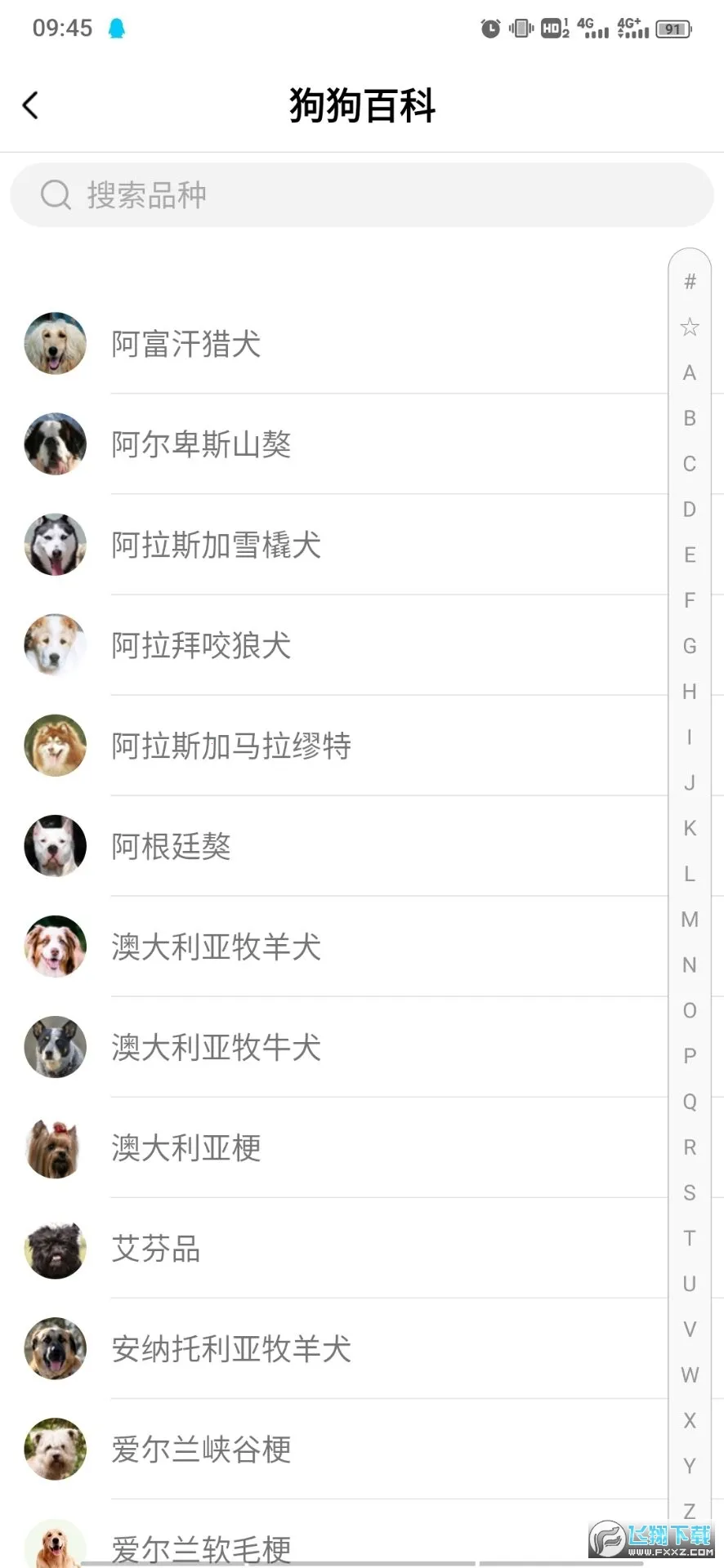 ���﷭����(�˳轻������)��ͼ2