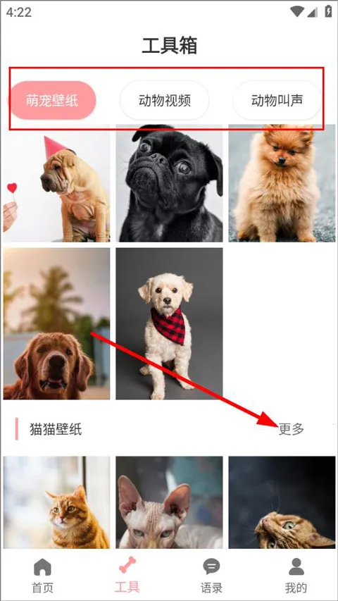 ���﷭����(�˳轻������)