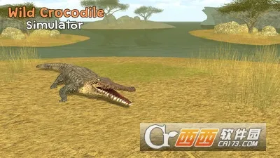 ����ģ���������ֻ����ͼ0