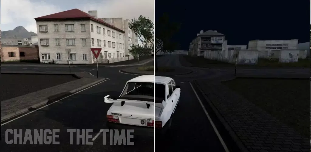 驾驶专家2无限货币版(驾驶模拟游戏)v0.85 手机版截图2