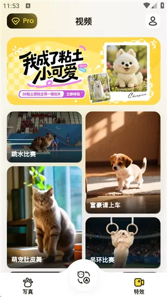 ����2026����