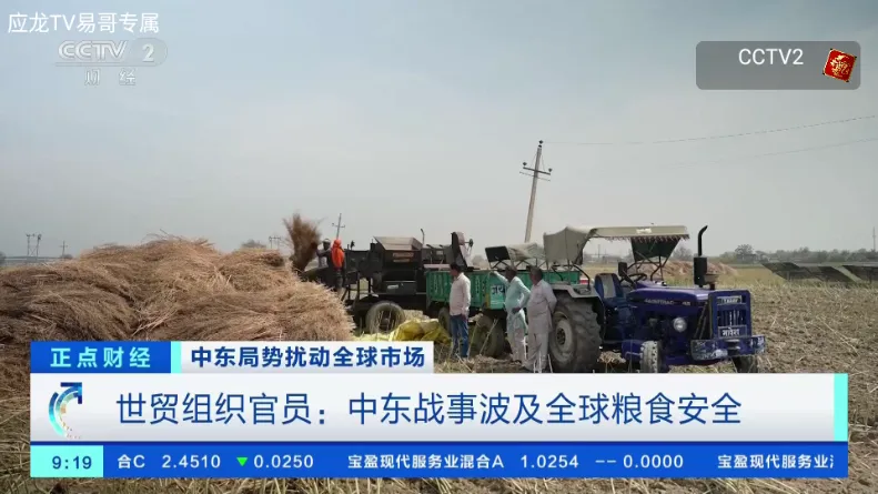 应龙TV电视版最新手机版v1.0.0 手机版截图2