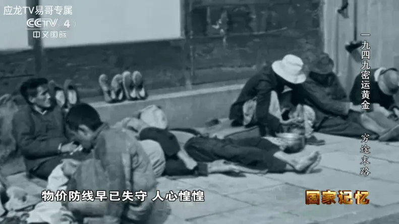 应龙TV电视版最新手机版v1.0.0 手机版截图0