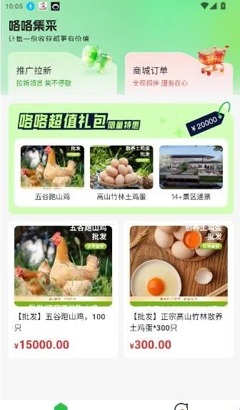 ��������2026���°汾