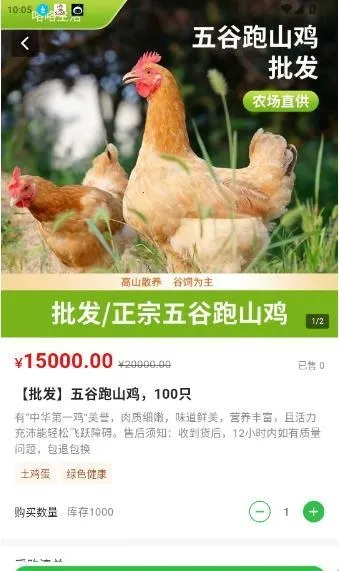 ��������2026���°汾