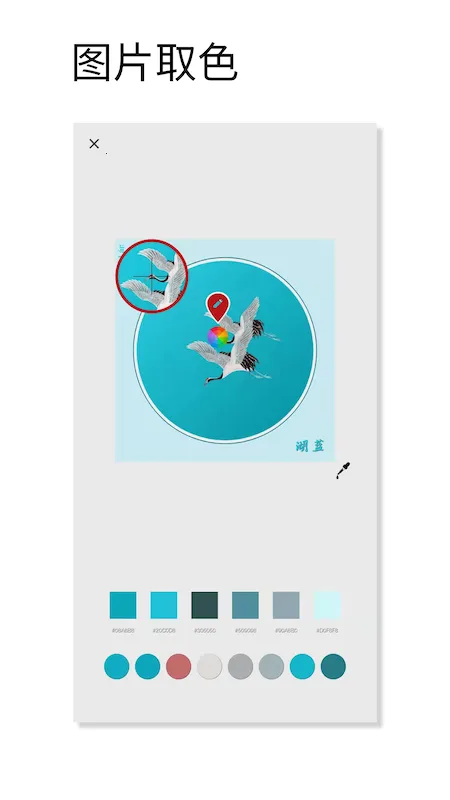 观色配色2026最新版本截图2