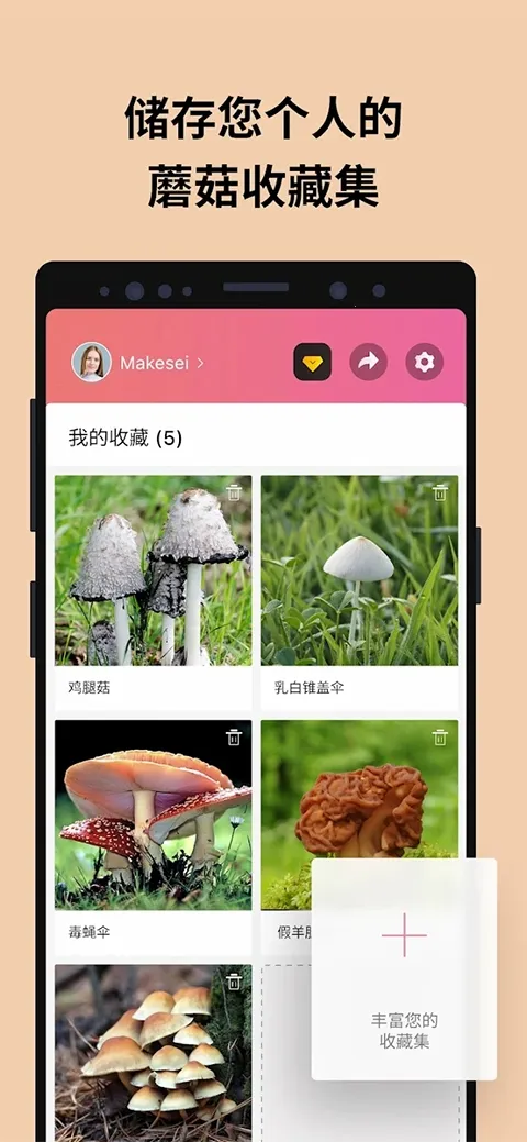 Picture Mushroom2026�ٷ����°汾��ͼ1