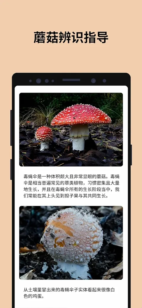 Picture Mushroom2026�ٷ����°汾