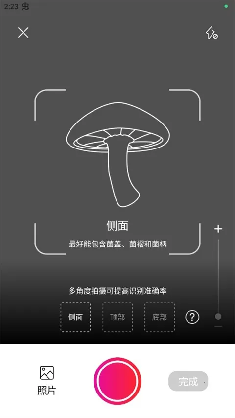 Picture Mushroom2026�ٷ����°汾