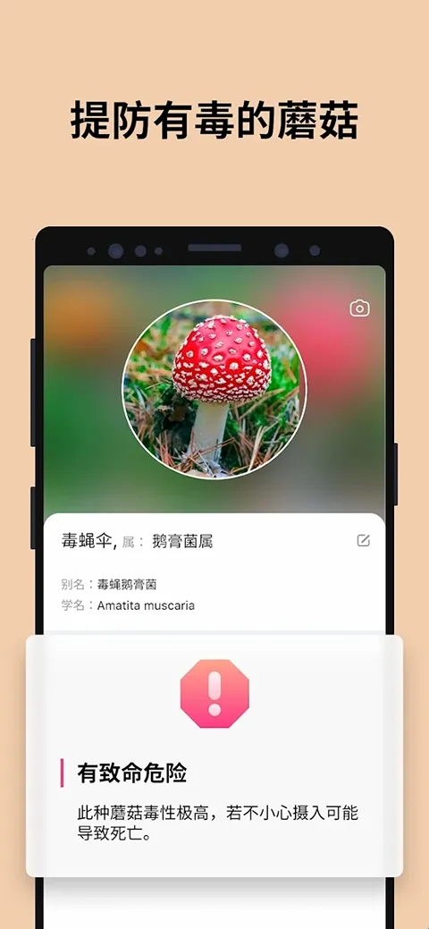 Picture Mushroom2026�ٷ����°汾