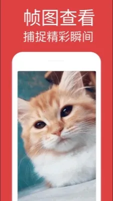 GIF�����2026�ֻ���