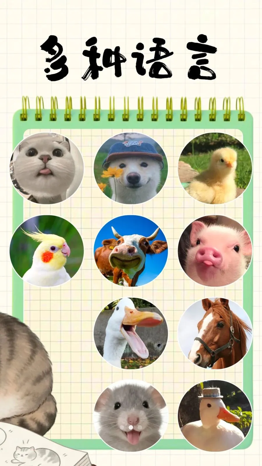 宠悦翻译器(宠物桌面工具)v3.9.5 官方正版截图1