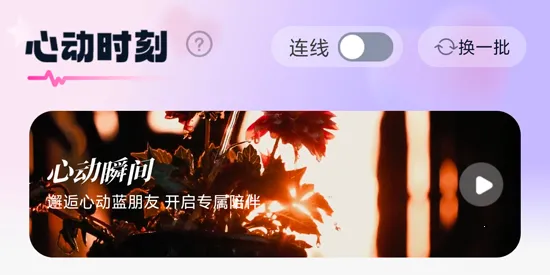 ��������(��������ƽ̨)