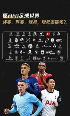 FC��������������ع��(���򾺼�����)v31.0.02 ��Ѱ��ͼ1