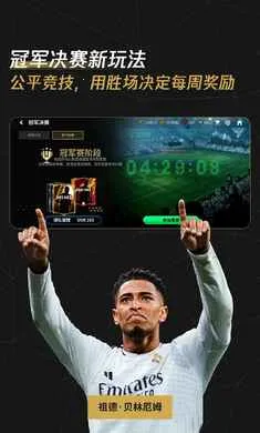 FC��������������ع��(���򾺼�����)v31.0.02 ��Ѱ��ͼ3