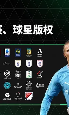 FC��������������ع��(���򾺼�����)v31.0.02 ��Ѱ��ͼ2